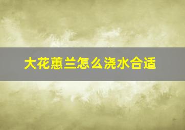 大花蕙兰怎么浇水合适