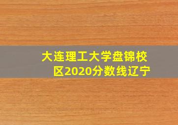 大连理工大学盘锦校区2020分数线辽宁