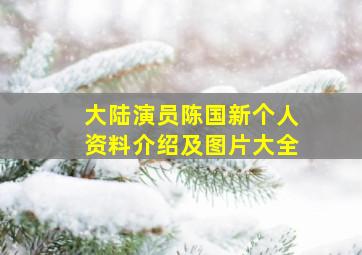 大陆演员陈国新个人资料介绍及图片大全