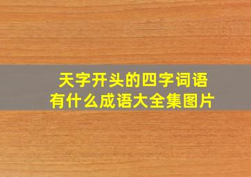 天字开头的四字词语有什么成语大全集图片