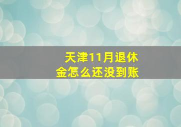 天津11月退休金怎么还没到账