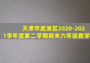 天津市武清区2020-2021学年度第二学期期末六年级数学