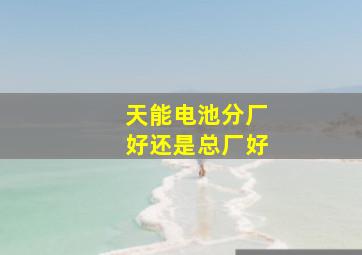 天能电池分厂好还是总厂好