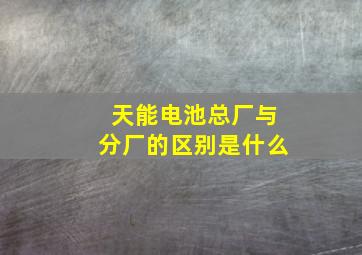 天能电池总厂与分厂的区别是什么