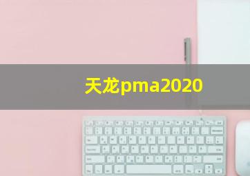 天龙pma2020