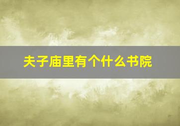 夫子庙里有个什么书院