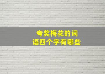 夸奖梅花的词语四个字有哪些