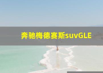 奔驰梅德赛斯suvGLE