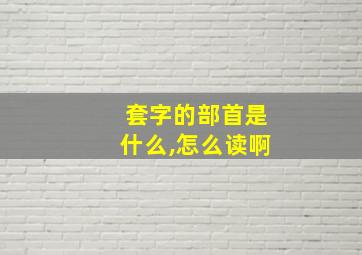 套字的部首是什么,怎么读啊