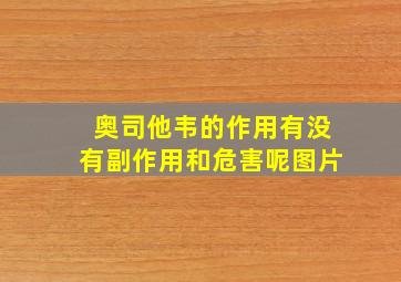 奥司他韦的作用有没有副作用和危害呢图片