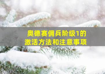 奥德赛佣兵阶级1的激活方法和注意事项