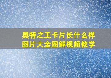 奥特之王卡片长什么样图片大全图解视频教学