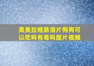 奥美拉唑肠溶片狗狗可以吃吗有毒吗图片视频