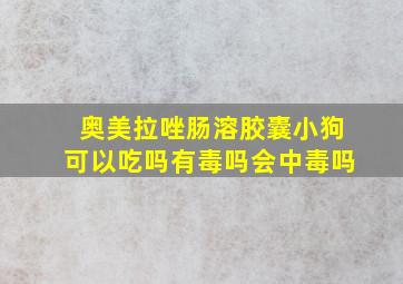 奥美拉唑肠溶胶囊小狗可以吃吗有毒吗会中毒吗