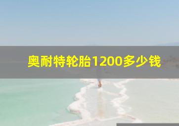 奥耐特轮胎1200多少钱