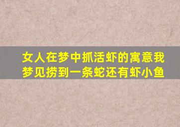 女人在梦中抓活虾的寓意我梦见捞到一条蛇还有虾小鱼