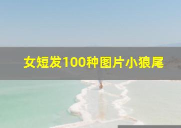 女短发100种图片小狼尾