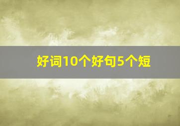 好词10个好句5个短