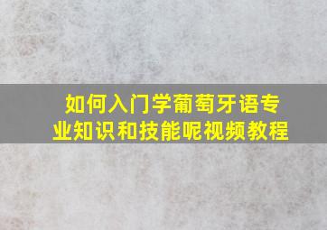 如何入门学葡萄牙语专业知识和技能呢视频教程