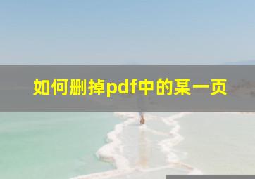 如何删掉pdf中的某一页