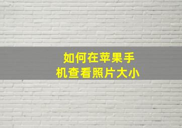 如何在苹果手机查看照片大小