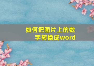 如何把图片上的数字转换成word