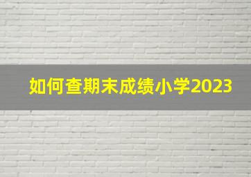 如何查期末成绩小学2023