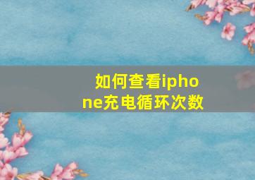 如何查看iphone充电循环次数