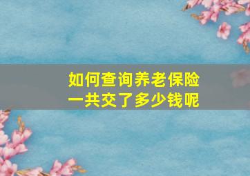 如何查询养老保险一共交了多少钱呢