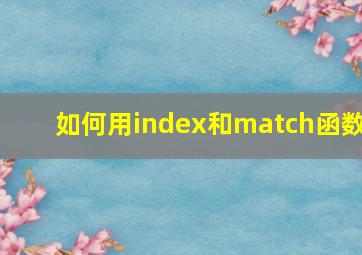 如何用index和match函数