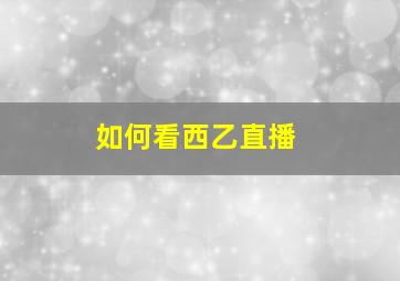 如何看西乙直播