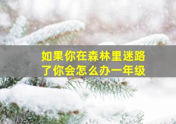 如果你在森林里迷路了你会怎么办一年级