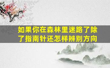 如果你在森林里迷路了除了指南针还怎样辨别方向