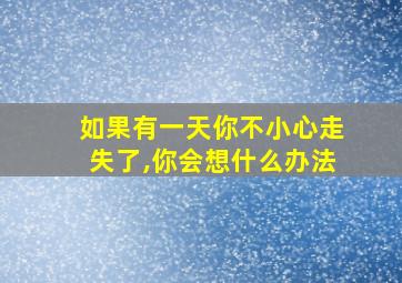 如果有一天你不小心走失了,你会想什么办法