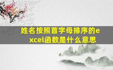 姓名按照首字母排序的excel函数是什么意思