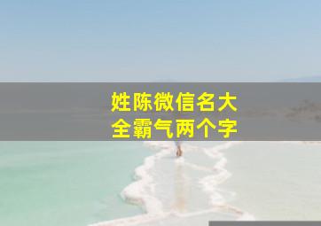 姓陈微信名大全霸气两个字