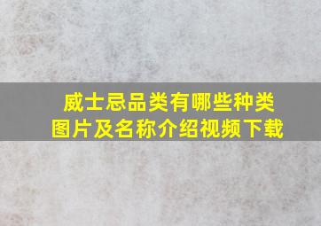 威士忌品类有哪些种类图片及名称介绍视频下载