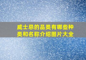 威士忌的品类有哪些种类和名称介绍图片大全