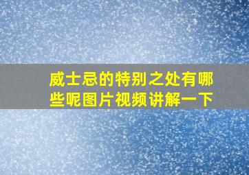 威士忌的特别之处有哪些呢图片视频讲解一下