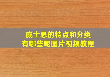 威士忌的特点和分类有哪些呢图片视频教程