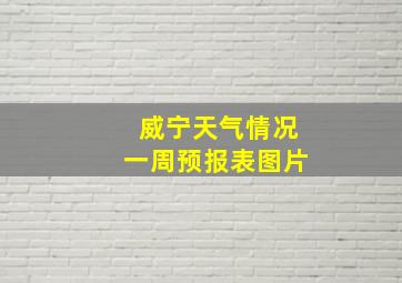 威宁天气情况一周预报表图片