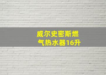 威尔史密斯燃气热水器16升