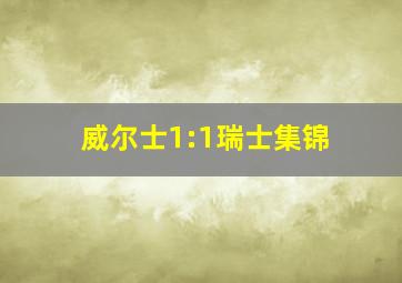 威尔士1:1瑞士集锦