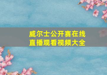 威尔士公开赛在线直播观看视频大全