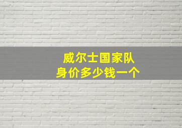 威尔士国家队身价多少钱一个