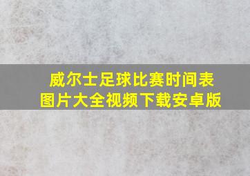 威尔士足球比赛时间表图片大全视频下载安卓版