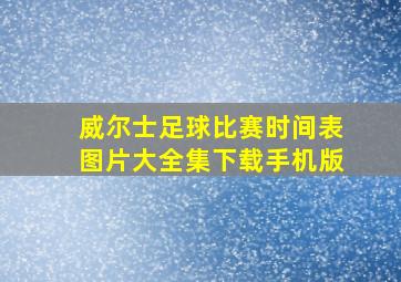 威尔士足球比赛时间表图片大全集下载手机版