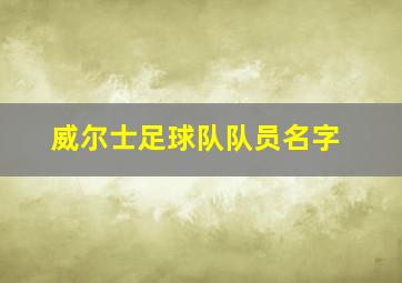 威尔士足球队队员名字