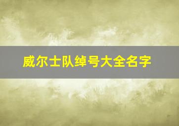 威尔士队绰号大全名字