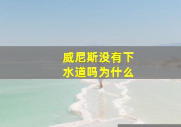 威尼斯没有下水道吗为什么